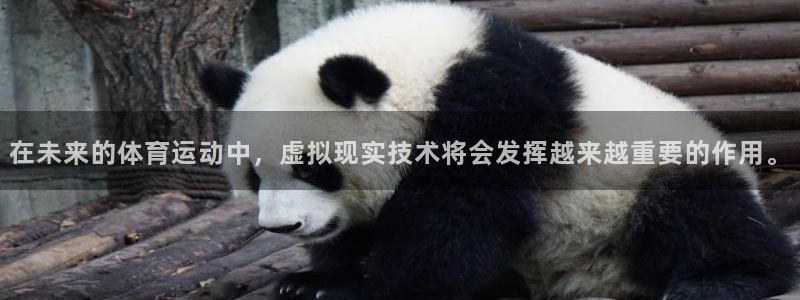 球友体育zhibo：在未来的体育运动中，虚拟现实技术将会发挥越来越重要的作用。