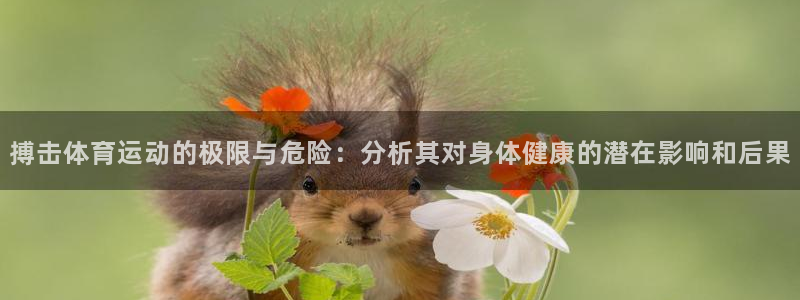 球友体育入1335 top：搏击体育运动的极限与危险：分析其对身体健康的潜在影响和后果