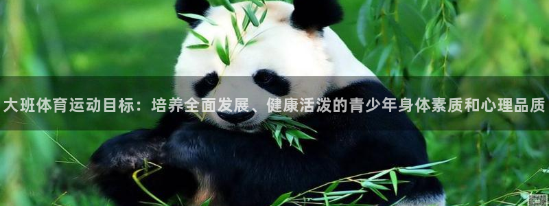 球友体育NBA在线观看：大班体育运动目标：培养全面发展、健康活泼的青少年身体素质和心理品质