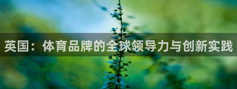 球友体育在线观看：英国：体育品牌的全球领导力与创新实践