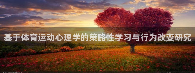 qy千亿球友体育：基于体育运动心理学的策略性学习与行为改变研究