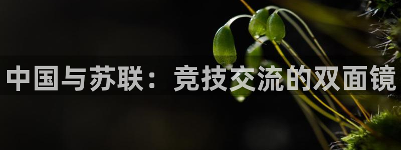 球友体育app官方下载：中国与苏联：竞技交流的双面镜