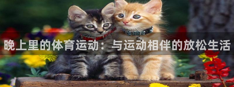 球友体育zhibo：晚上里的体育运动：与运动相伴的放松生活